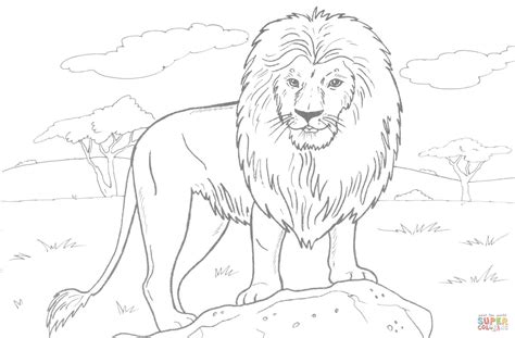 A cougar is more commonly related to smaller felines, including the domestic cat. African Lion coloring page | Free Printable Coloring Pages