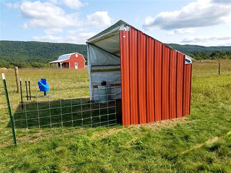 How To Build A Diy Animal Shelter For Barnyard Animals Simplified