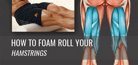 Foam Roller Guides Benefits Exercises And Reviews