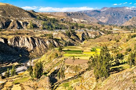 Premium Photo Terraced Fields Within The Colca Canyon In Peru