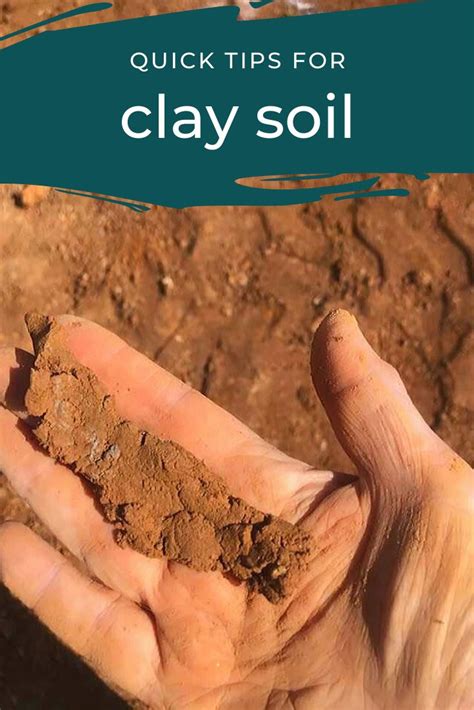 Clay Soil Clay Soil Soil Clay