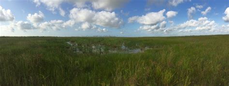Gulf Coastal Plains Wetland Mitigation Bank Ecogenesis Llc