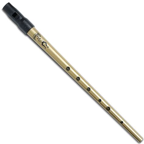 Irish Whistle Woodwind Musical Instrument Ireland Metal Flute For