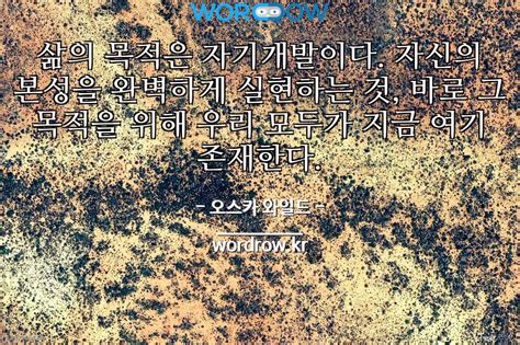 니콜 키드먼은 집에서 오스카 시상식을 보는 중이래요. 개발에 관한 사진 명언