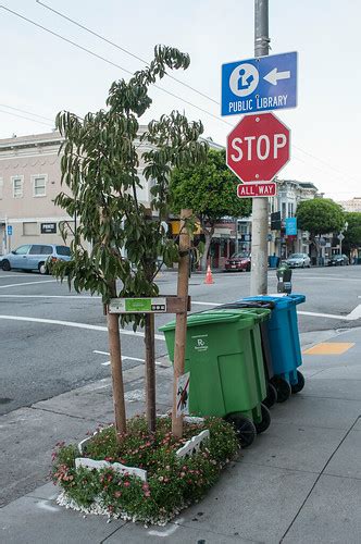 Friends Of The Urban Forest Tree Planted On Union Street I Flickr
