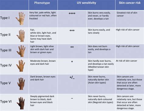 Skin Type Chart A Numerical Classification Scheme For The Colour Of Download Scientific