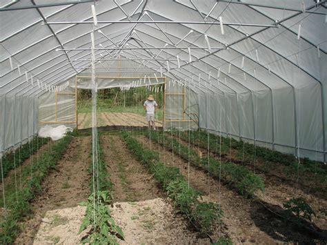 High Tunnel Gardening What You Need To Know To Grow Successfully