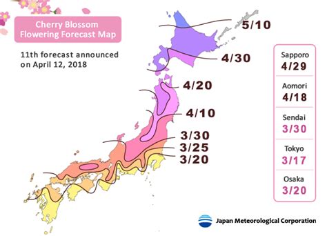 Japan Cherry Blossom Forecast For 2018 Aomori Sendai Hanami Japan