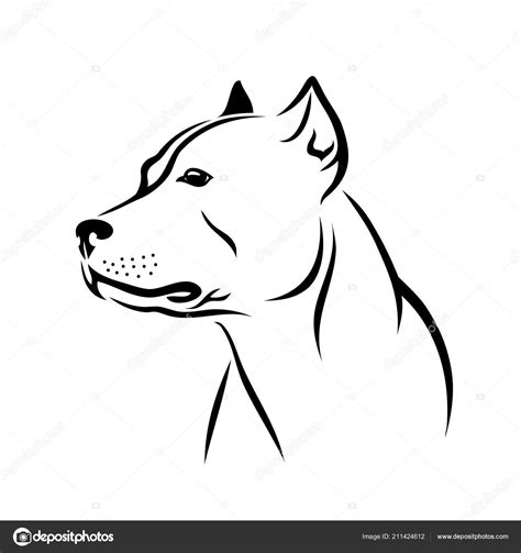 Lapiz Facil Dibujos De Perros Pitbull Vrogue Co