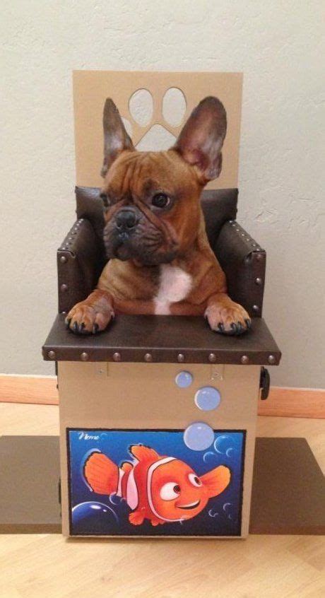 Unfortunately, cats suffering from congenital forms of the diseases, or in whom the underlying cause could not be identified, carry a very poor prognosis. 16 best Bailey chair images on Pinterest | Chairs, Dog ...