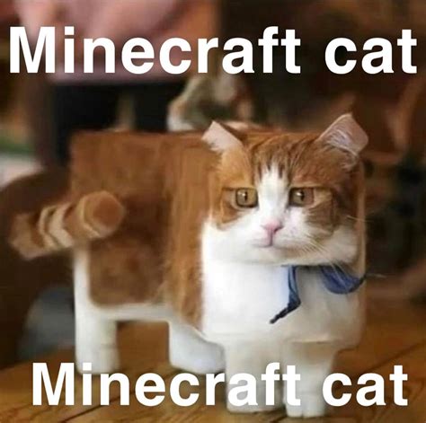 15 Cat Memes Minecraft Factory Memes