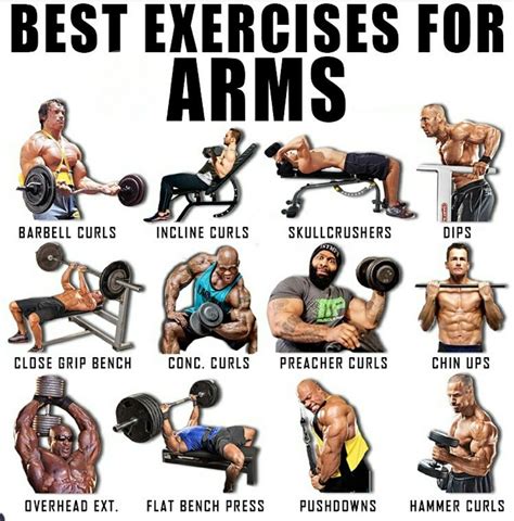 Pin By Luis Montanez On Healthy Tips Good Arm Workouts Arm Workout