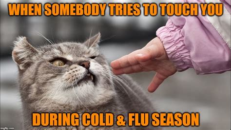 Funny Cold And Flu Memes Trend Meme