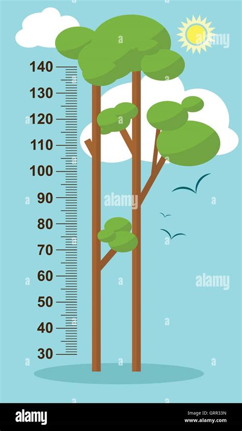 Tree Height Measure Stock Vector Images Alamy