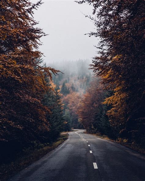 An Autumn Drive Romania Deanhearne Vsco
