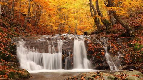 Landscapes Nature Waterfall Rivers Trees Forest Autumn Fall Seasons