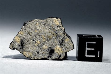 A The Martian Meteorite Elephant Moraine Eeta 79001 And The