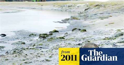 Brittany Beaches Hit By Toxic Algae Pollution The Guardian