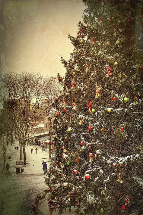 Faneuil Hall Christmas Tree Boston Ma Photograph By Joann Vitali
