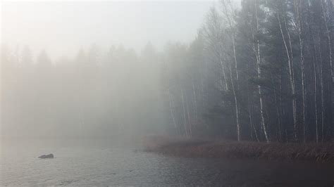 Foggy Lake And Forest By Juhaniviitanen On Deviantart