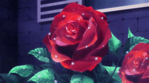 Rose Flower Animated On Gifer