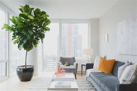 Tips On How To Decorate The Interior Of A High Rise Apartment