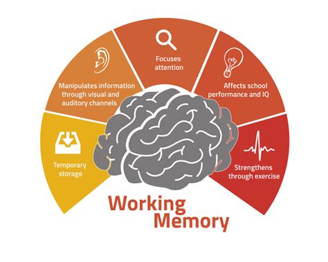 Understanding Types Of Memory In Kids Brainfit Studio
