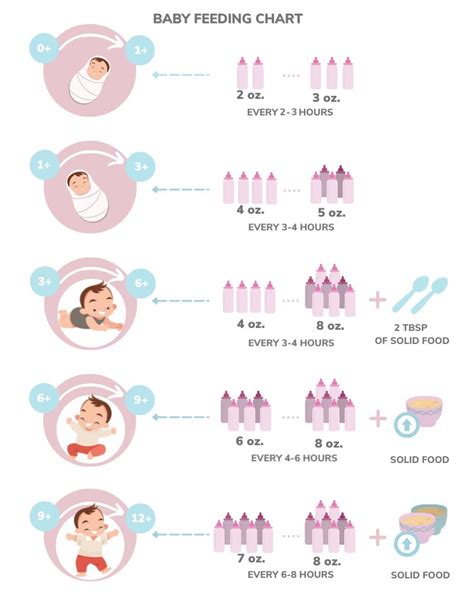 Ultimate Baby Feeding Chart First Year Guide