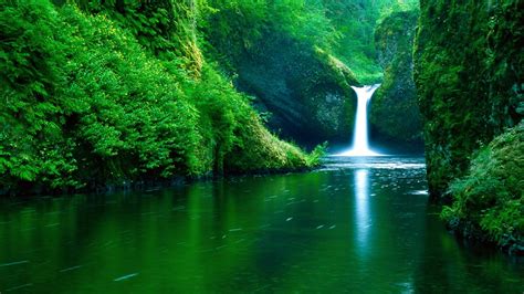 Waterfall Water Nature Landscape Green River Forest Wallpapers Hd