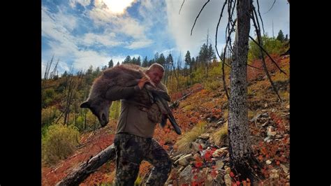 Wolf Hunting 2019 Idaho Howling A Pack Of 13 Wolves Into 30 Yards