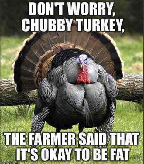 Maybe these memes will help you understand. These Turkey Memes Will Make You Gobble Gobble - What WAP ...