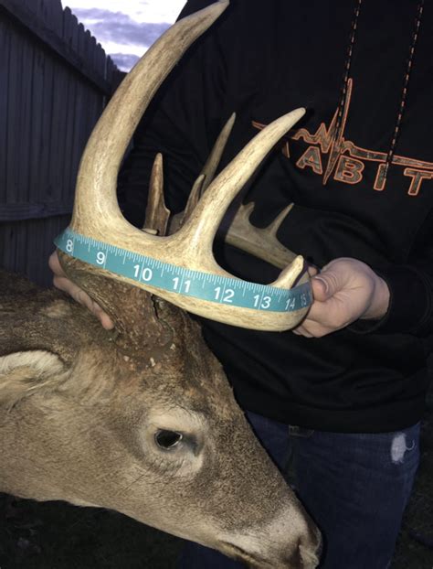 7 Easy Steps To Scoring Whitetail Deer 2020 Feathernett Outdoors