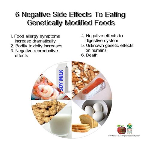 6 Negative Side Effects To Eating Genetically Modified Foods Food
