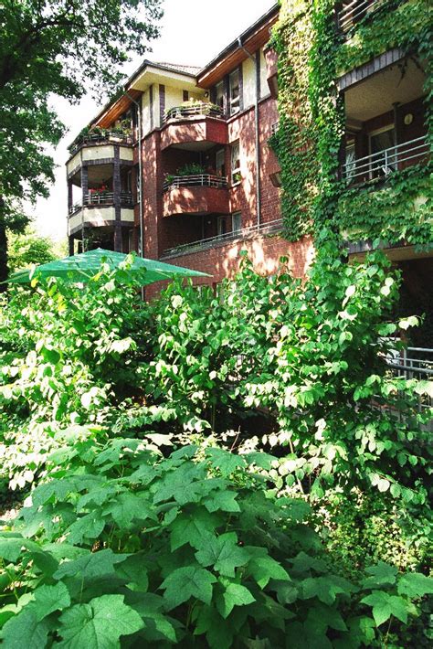 Das stadtzentrum von neunkirchen ist von hier aus fußläufig zu erreichen. 26 Best Photos Theodor Fliedner Haus / Altenkirchen ...