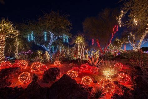 Take a look at this breathtaking and mesmerizing slice of nevada nature. Las Vegas Ethel m chocolates botanical cactus garden ...