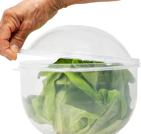 Home X Lettuce Keeper Vegetable And Fruit Crisper Lettuce Crisper