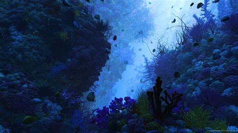 Underwater Wallpapers Hd Pixelstalknet