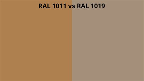 RAL 1011 Vs 1019 RAL Colour Chart UK