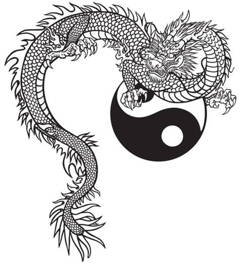 Dragon Yin Yang Tattoos Illustrations Royalty Free Vector Graphics