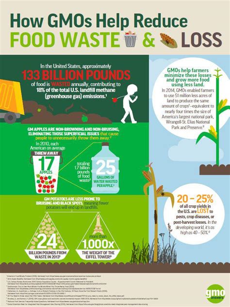 Food waste in the us. How GMOs Help Us Reduce Food Waste & Its Environmental Impact