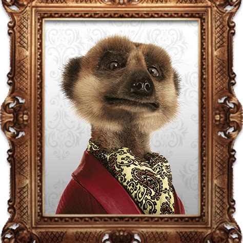 Compare the Meerkat Adverts - YouTube