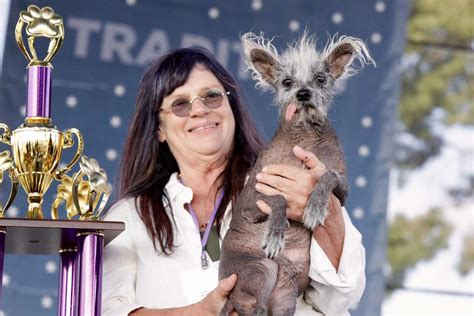 Scooter Wins The 2023 Worlds Ugliest Dog Contest Yahoo Sports
