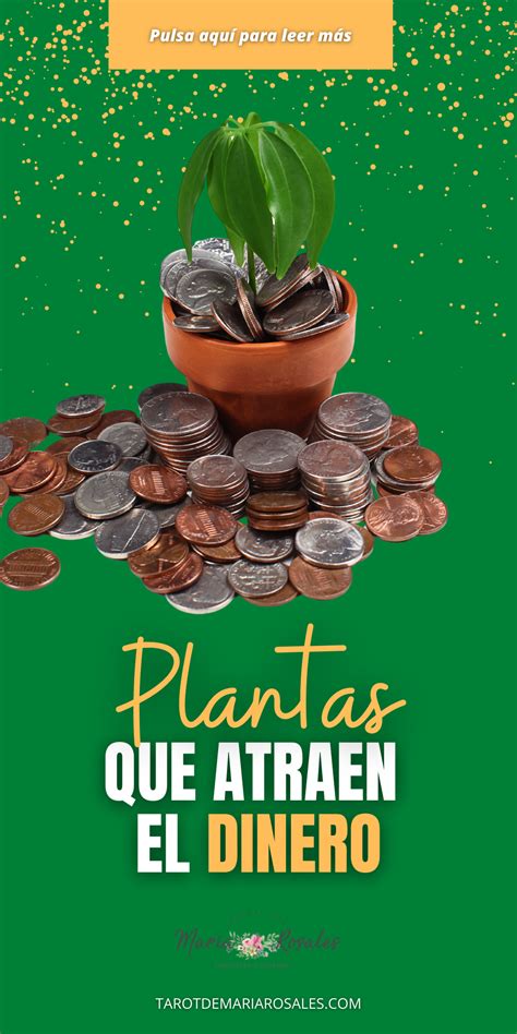 Existen Las Plantas Para Atraer El Dinero Para La Buena Suerte Y La