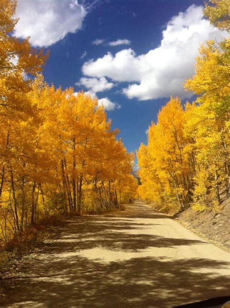 Where To Find Fall Foliage In Colorado On My Blog I Share Colorado