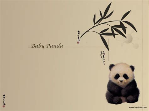 Cute Anime Panda Wallpaper Wallpapersafari