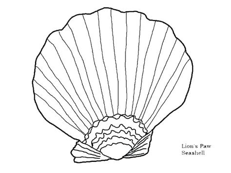 Sea Urchin Coloring Page Printable Coloring Pages