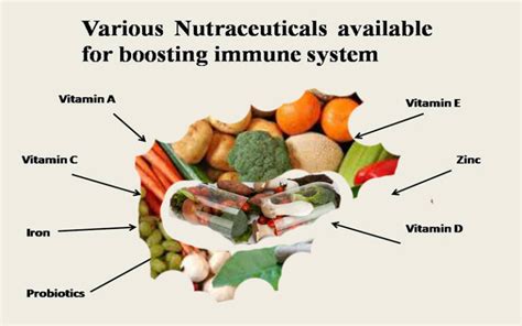 The Role Of Nutraceuticals In Pandemic Health Vision