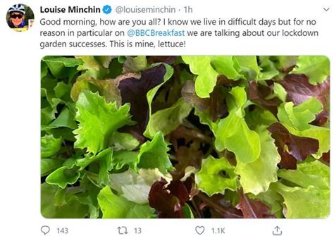 Louise Minchin Bbc Breakfast Star Unveils Lettuce Garden During