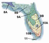 Pictures of Landscape Zones Florida