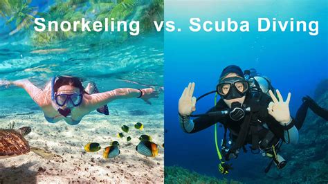 Snorkeling Vs Scuba Diving Which One Is Suitable For You Dive Aeris